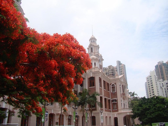 分享香港留學(xué)各專業(yè)申請(qǐng)秘籍，您知道嗎？