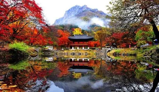 詳述注冊(cè)韓國(guó)公司都需要什么資料？