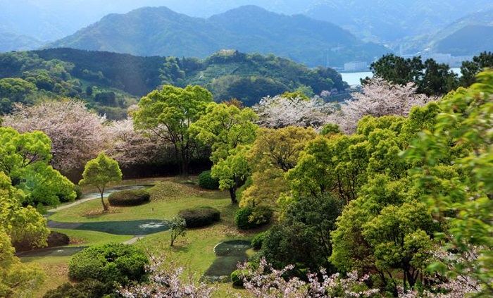 詳細(xì)介紹日本注冊(cè)公司需要什么資料？