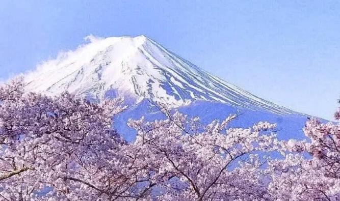 日本公司注冊(cè)有哪些要求？